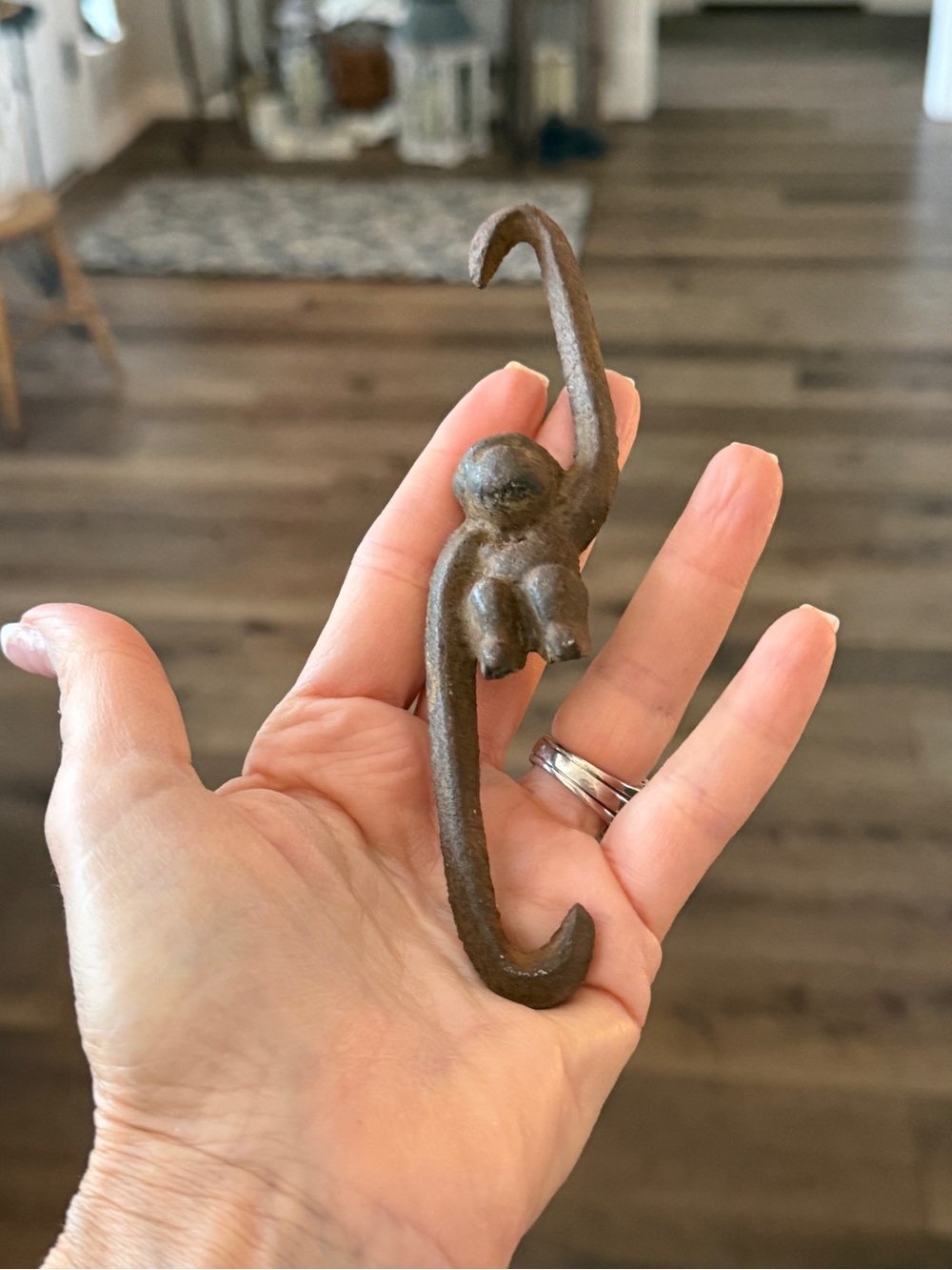 Vintage Cast Iron “Barrel of Monkey” Monkey Hook
